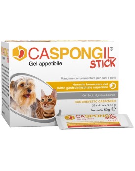 CASPONGIL STICK 20Stick Pack