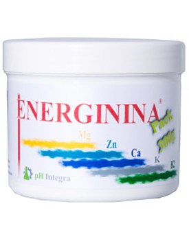 ENERGININA 300g