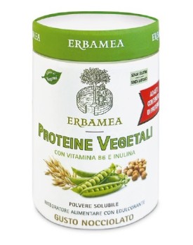 PROTEINE Veg.270g EBM