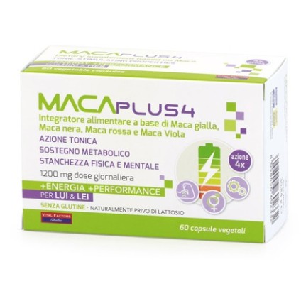 MACA Plus*4 60 Cps VFI MACA Plus*4 60 Cps VFI