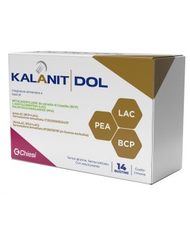 KALANIT DOL 14 Bust.