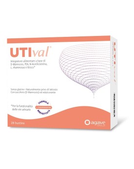UTIVAL 28 Bust.