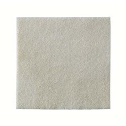 BIATAIN ALGINATE AG 10X10 10PZ BIATAIN ALGINATE AG 10X10 10PZ