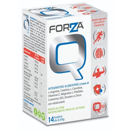 FORZA Q 14 Bust. FORZA Q 14 Bust.