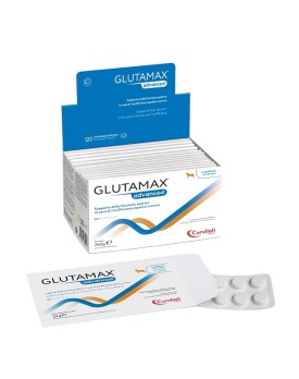 GLUTAMAX Advanced 120 Cpr