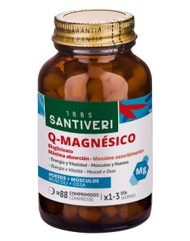 Q-MAGNESICO BISGL.88Cpr    STV