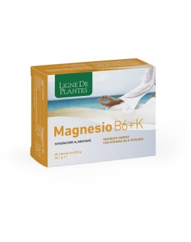 MAGNESIO B6 + K 60CPS