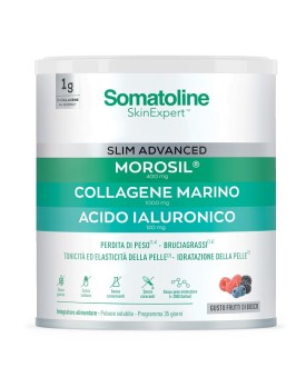 SOMAT Slim Advanced Polv.275g
