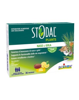 STODAL Plants 36 Past.Limone